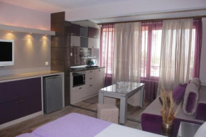 Гостиница Guest House Rositsa  Поморье